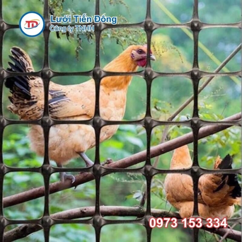 rào nhựa nuôi gà