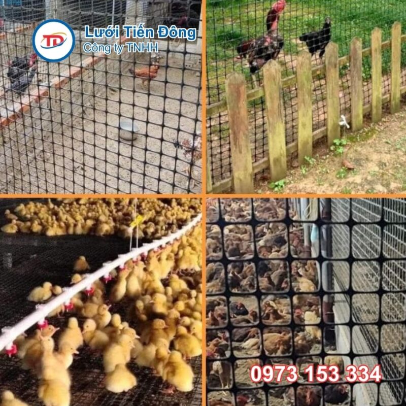 lưới nhựa nuôi gà giá rẻ