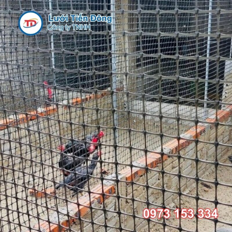 Hàng rào nhựa nuôi gà